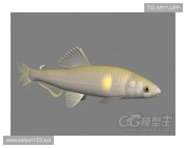 当地记者赠送阿隆索鱼形模型模型能发声高喊Hala Madrid引发热议